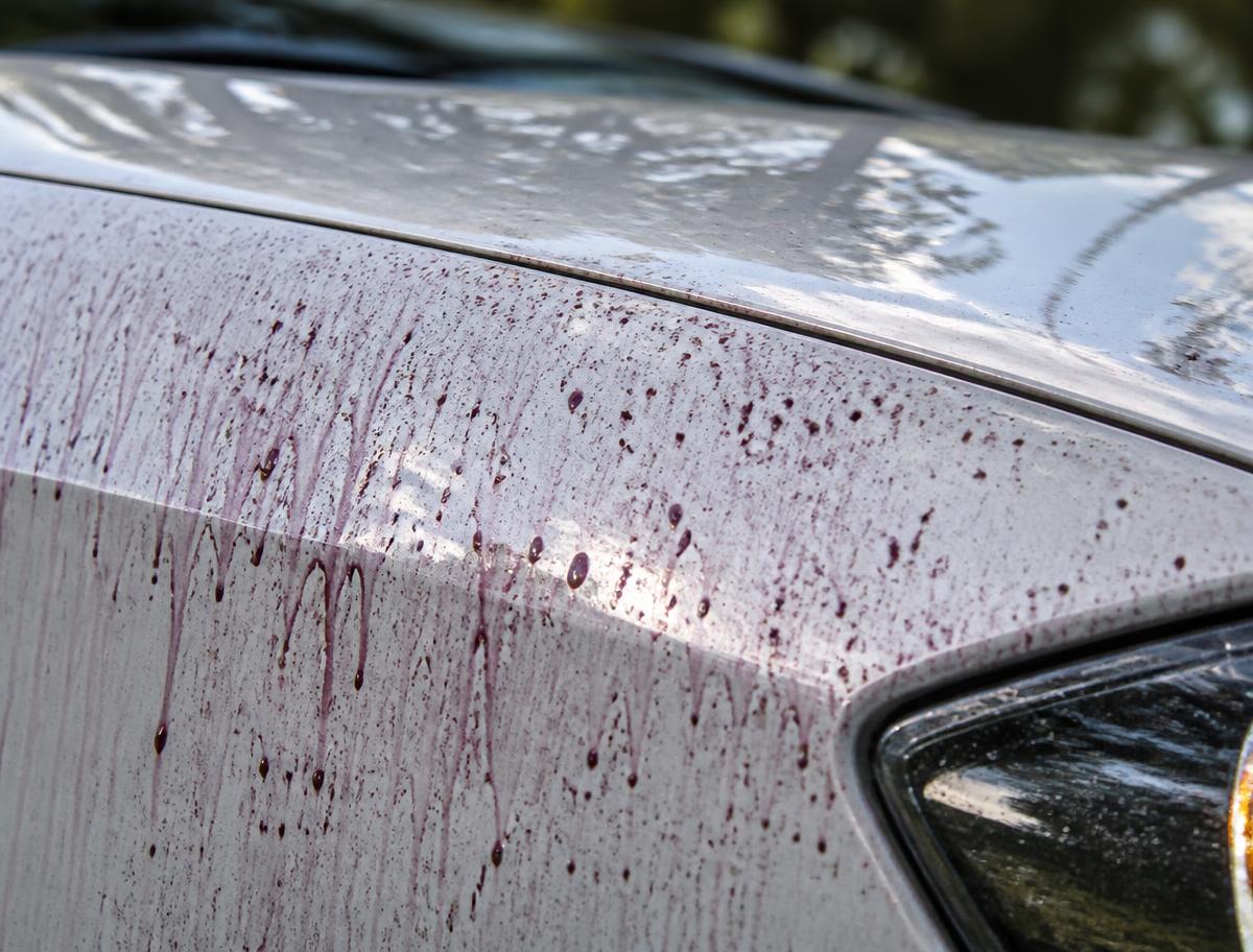 Iron remover bleeding purple on white paint during an iron removal and clay bar decontamination